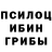 Псилоцибиновые грибы Cubensis defblo2000