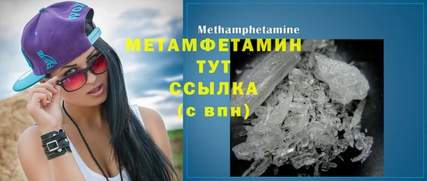 прущие грибы Кукмор