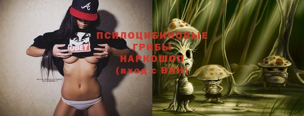 дживик Белокуриха
