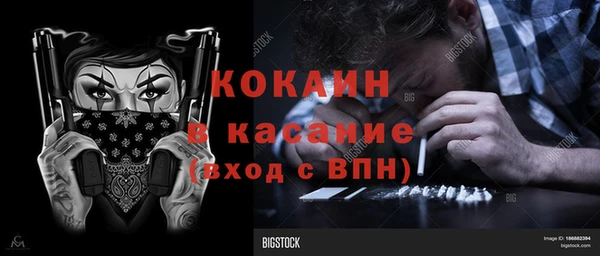 дживик Белокуриха