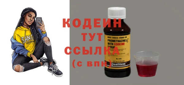 дживик Белокуриха