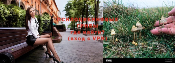 дживик Белокуриха