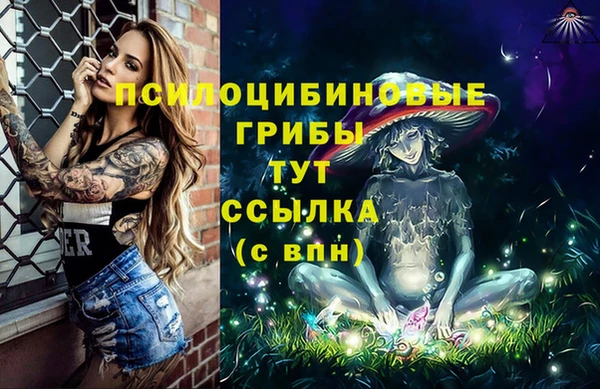 дживик Белокуриха