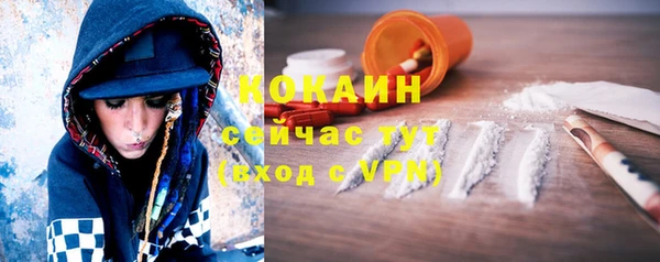 дживик Белокуриха