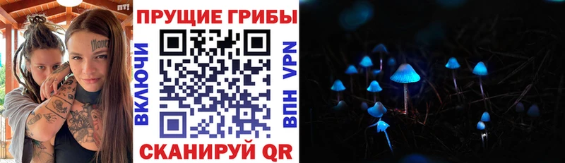 Галлюциногенные грибы мухоморы Гатчина