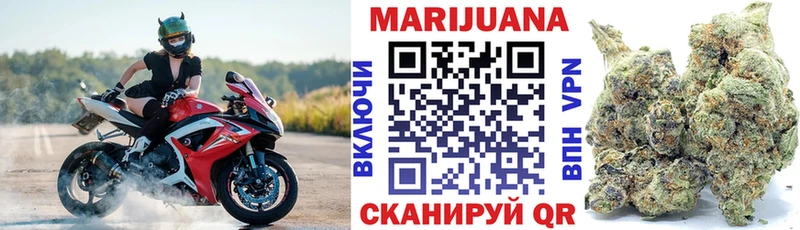 Бошки Шишки THC 21%  купить закладку  Гатчина 