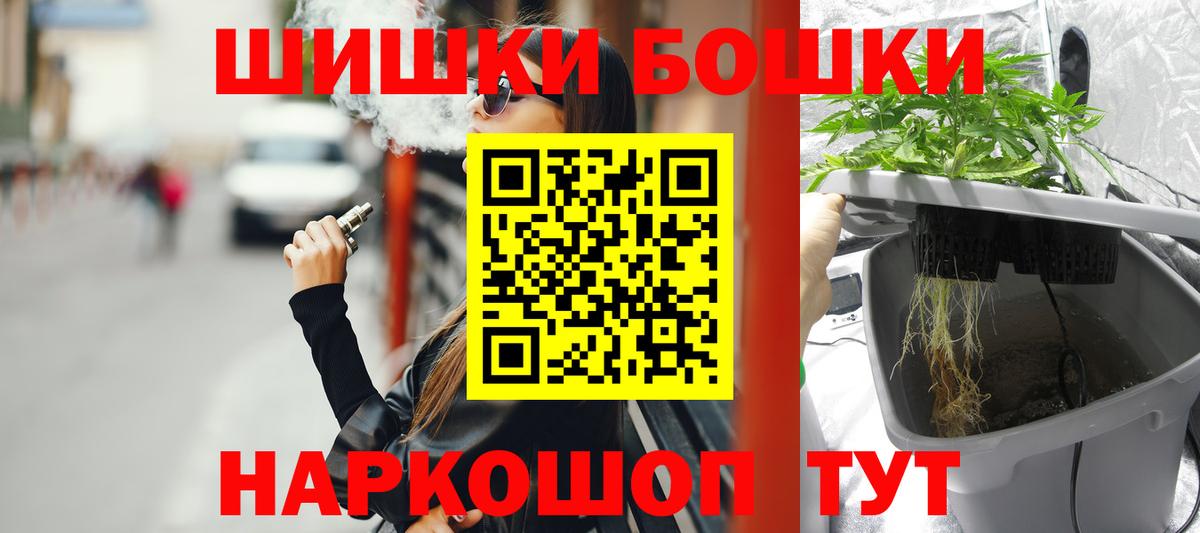 Бошки Шишки планчик Гатчина